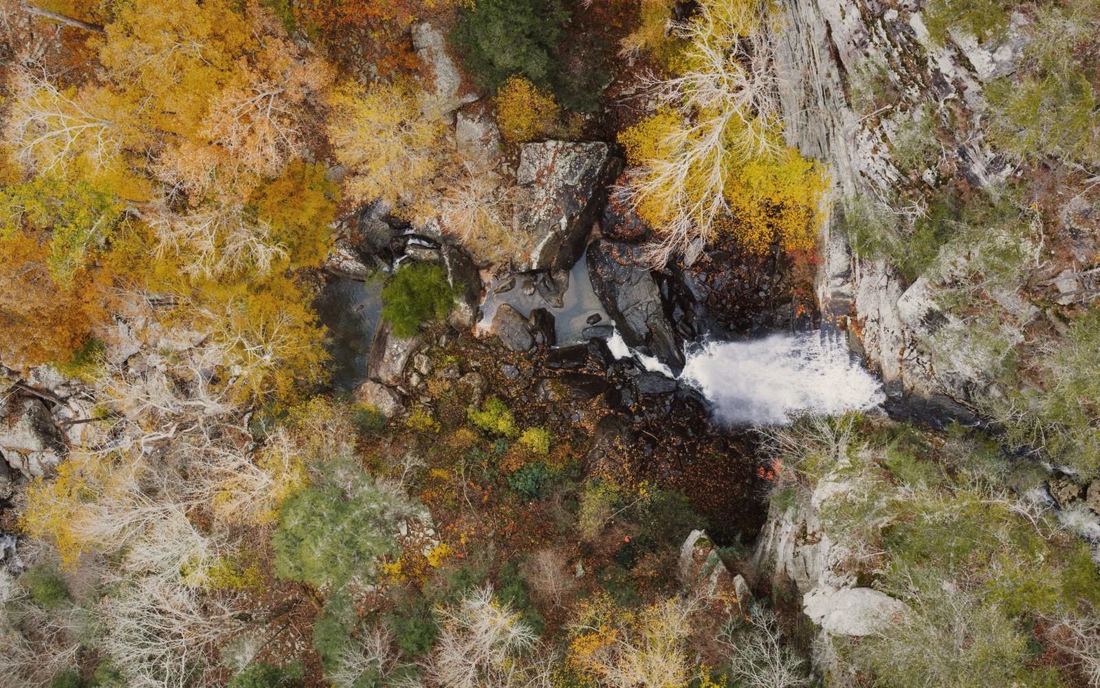 Bald River Falls and the Best Trails