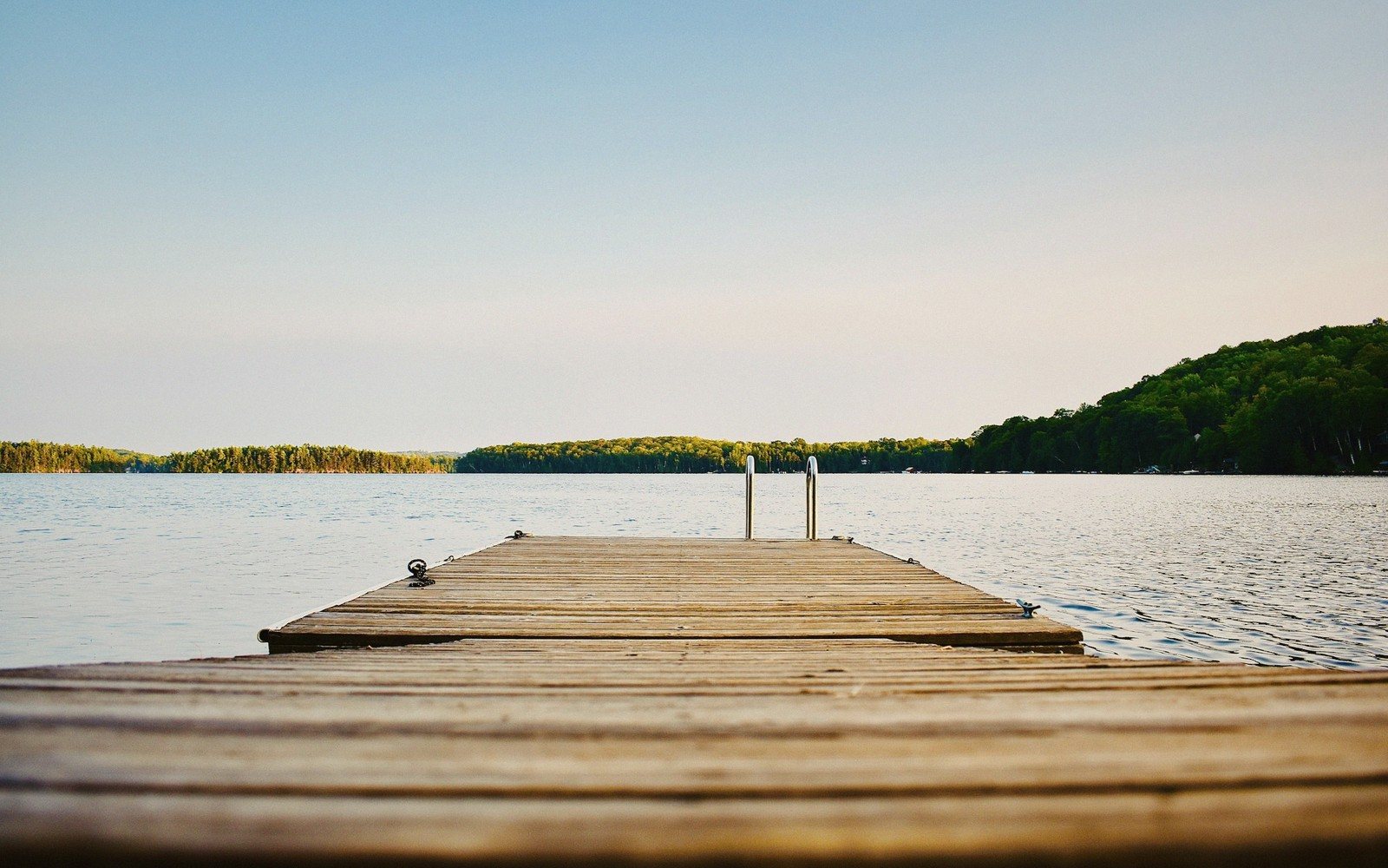 Wooden dock with metal ladder extends into a calm, tree-lined lake